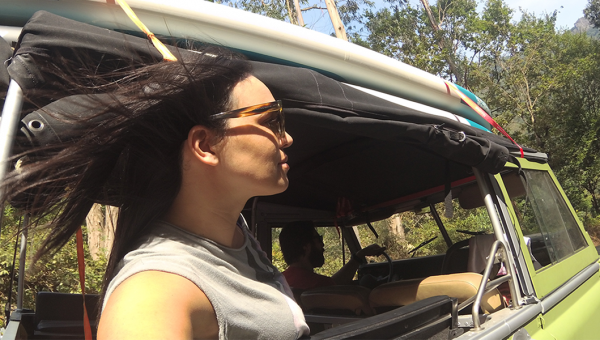4x4 Off Road Tours / What is possibly stronger than a Land Rover engine?