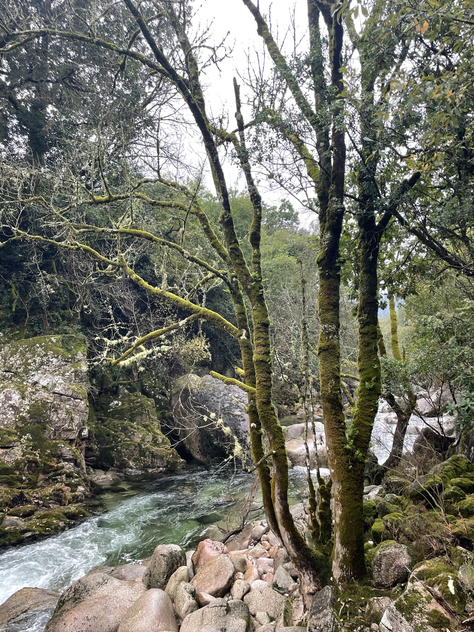 winter in porto 