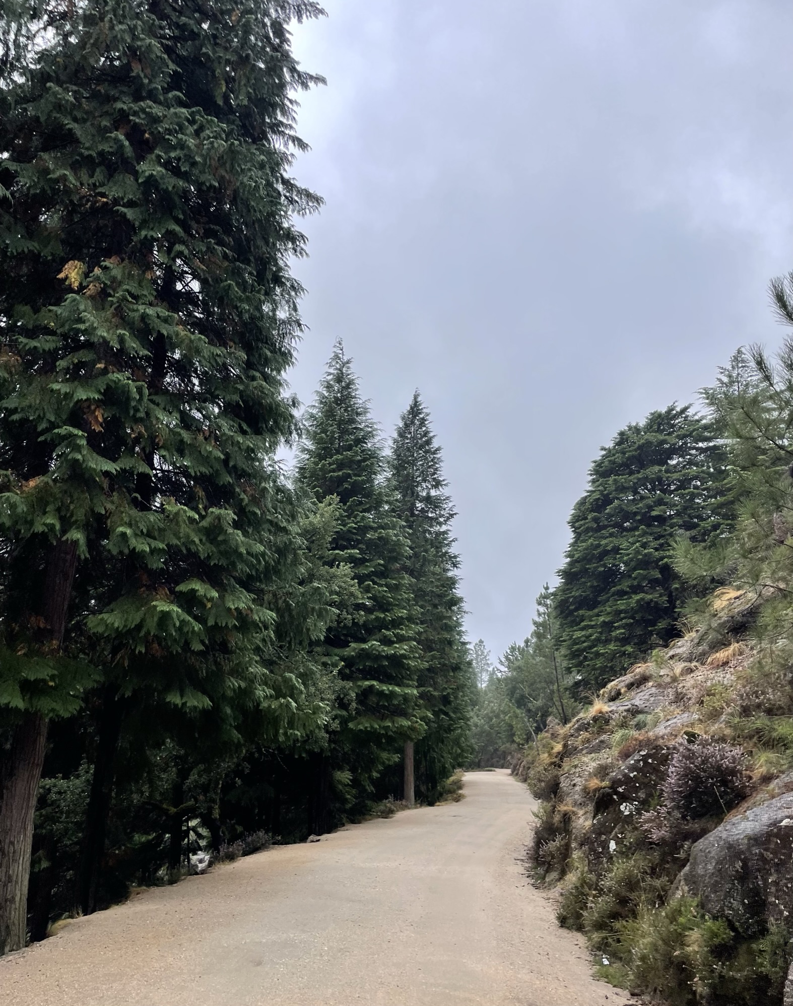 Peneda-Gerês National Park