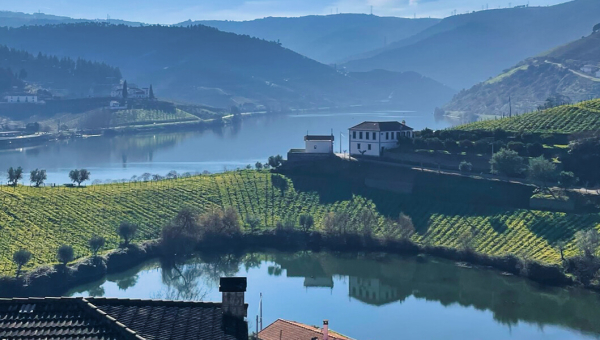 Explore the Douro Valley