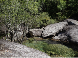 A Day in Peneda-Gerês National Park: Nature Getaway from Porto