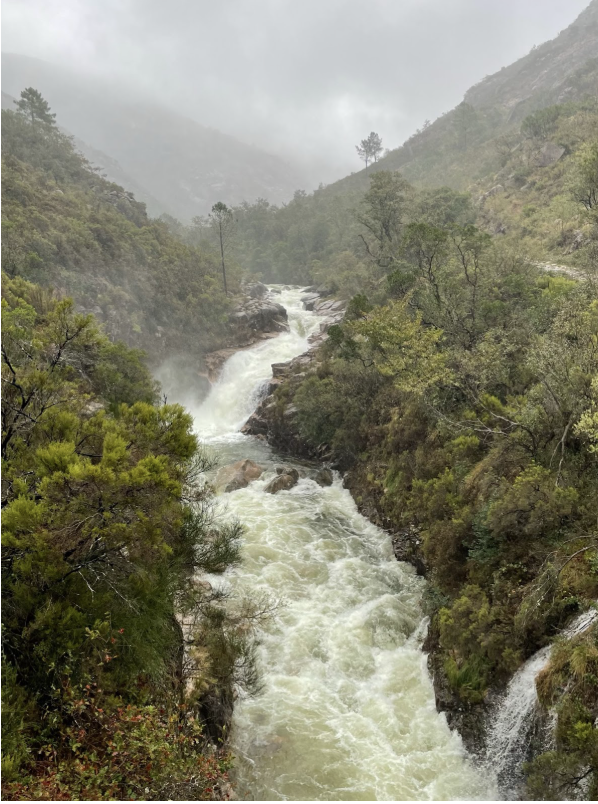 When It Rains in Porto: Escape the City, Find the Wild