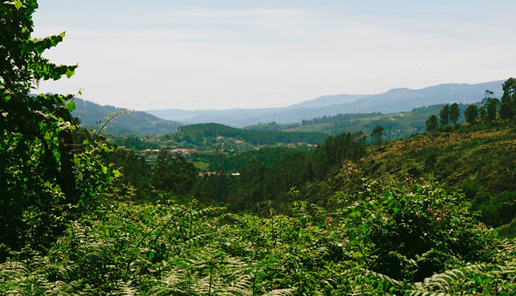 Canyoning In Gerês National Park